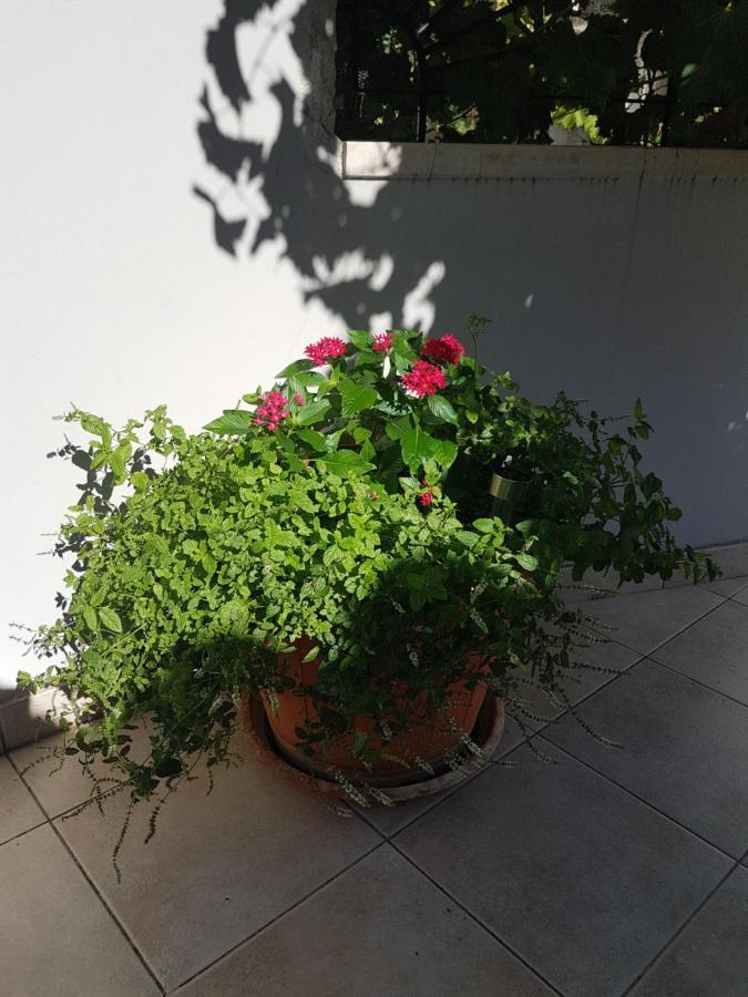 Apartment 22 أوميس المظهر الخارجي الصورة