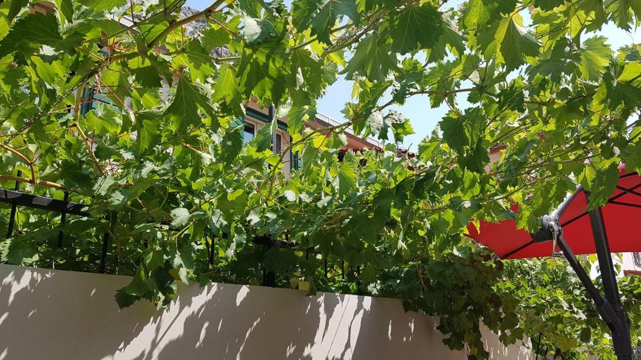 Apartment 22 أوميس المظهر الخارجي الصورة